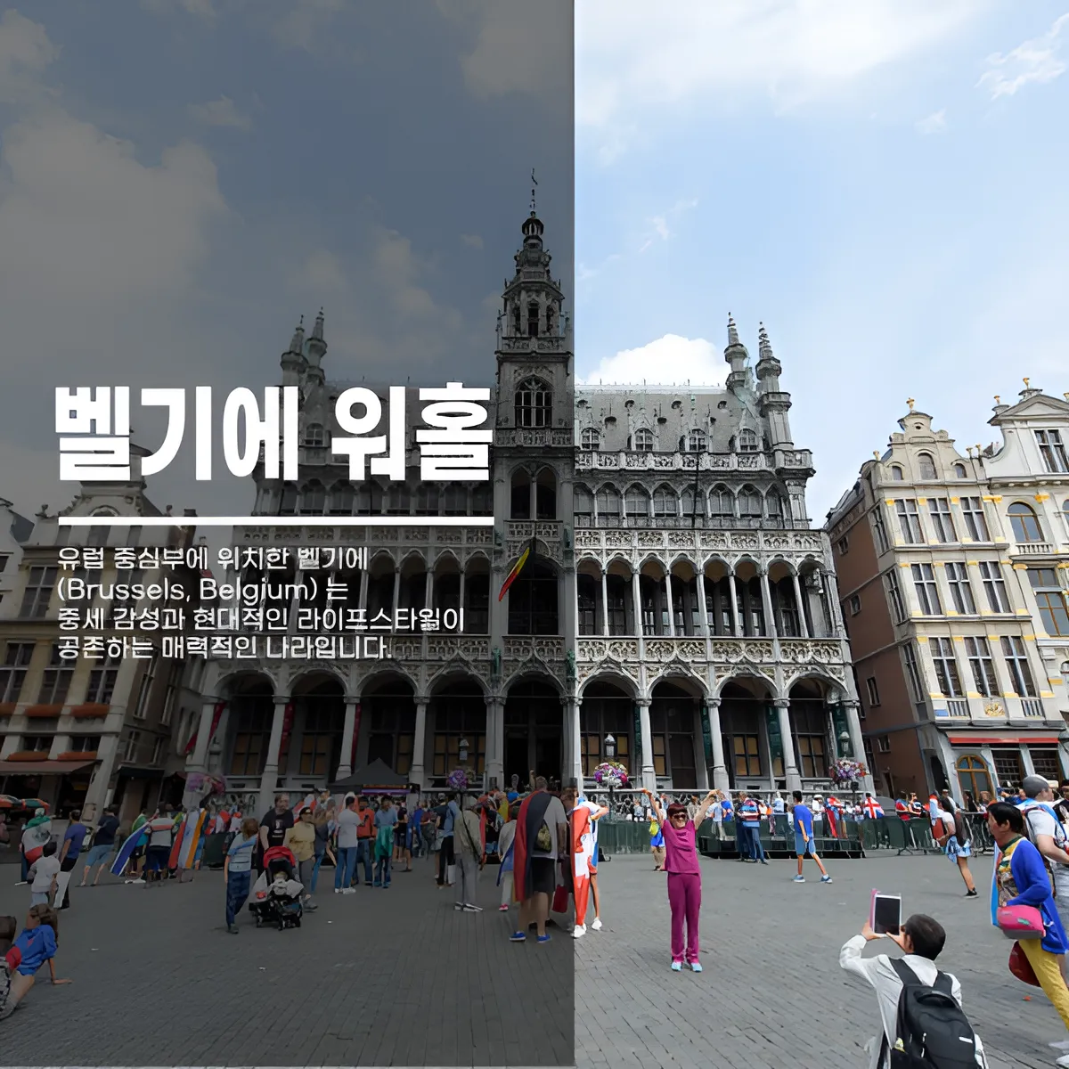 벨기에 워킹홀리데이 완벽 가이드 | 신청·서류·취업까지 한 번에